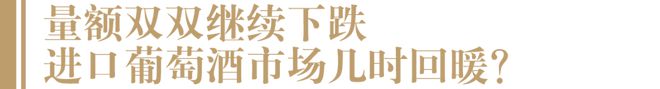 2023进口酒半年数据出炉：白兰地强势回归量额均双位数增长葡萄酒进口量下降近30%(图4)