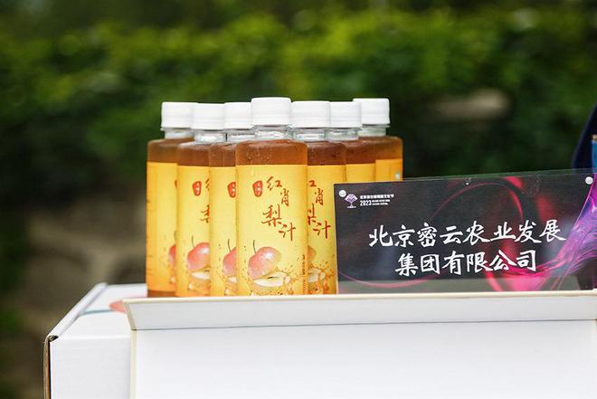 2023年北京密云葡萄酒文化节启幕：以酒兴业 密云打造“紫色名片”(图5)