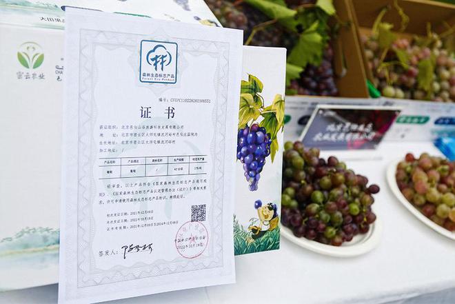 2023年北京密云葡萄酒文化节启幕：以酒兴业 密云打造“紫色名片”(图4)