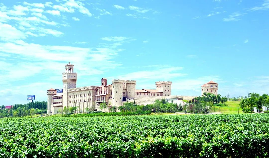 中国葡萄酒产旅融合发展大会暨2023西咸新区葡萄酒文化旅游月启动仪式成功举办(图7)