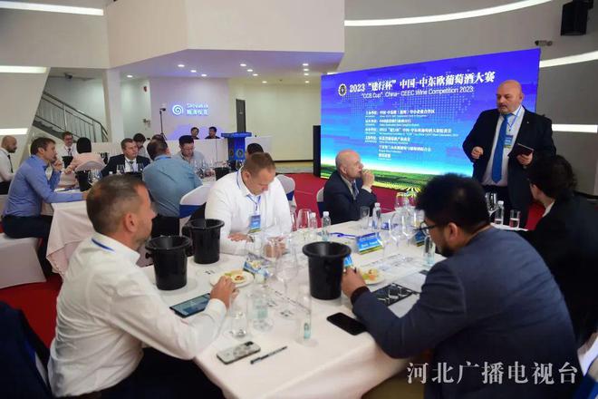 聚焦合作区｜2023中国-中东欧葡萄酒文化节在沧州中捷产业园区开幕(图2)