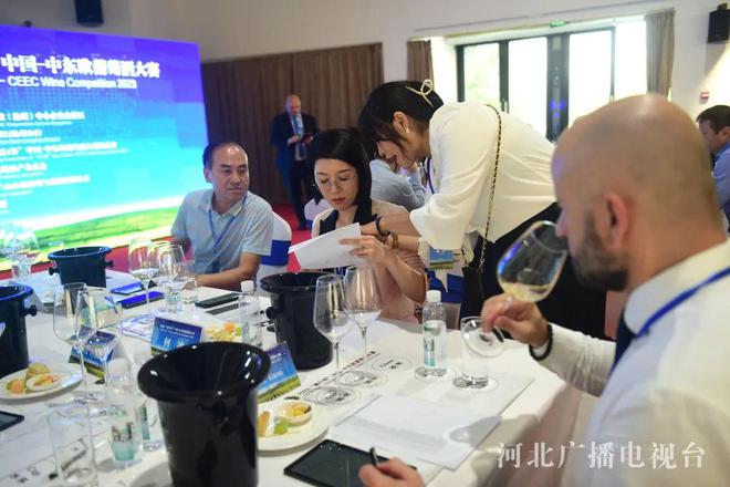 聚焦合作区｜2023中国-中东欧葡萄酒文化节在沧州中捷产业园区开幕(图4)