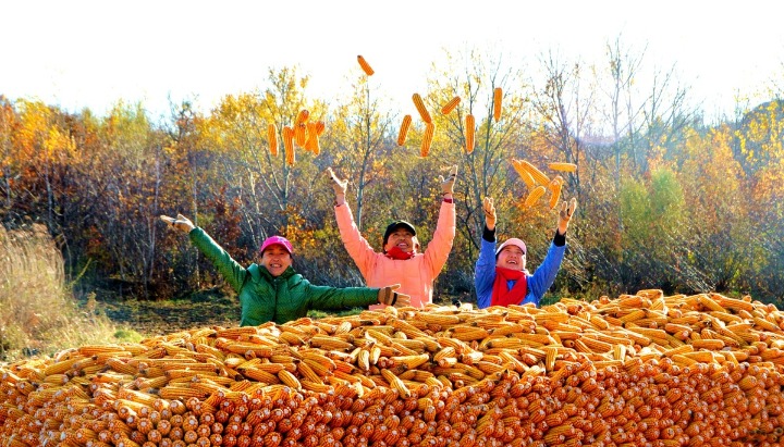 2023中秋节(图5)