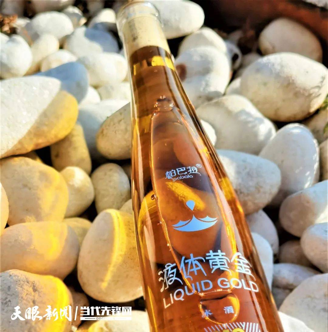 帕巴拉冰酒获2023秋季FIWA法国国际葡萄酒大奖赛大金奖暨最高分Trophy(图2)