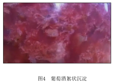2023年春节食品安全系列消费提示（葡萄酒篇）(图3)