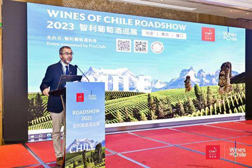 2023年智利葡萄酒三地路演圆满落幕(图6)