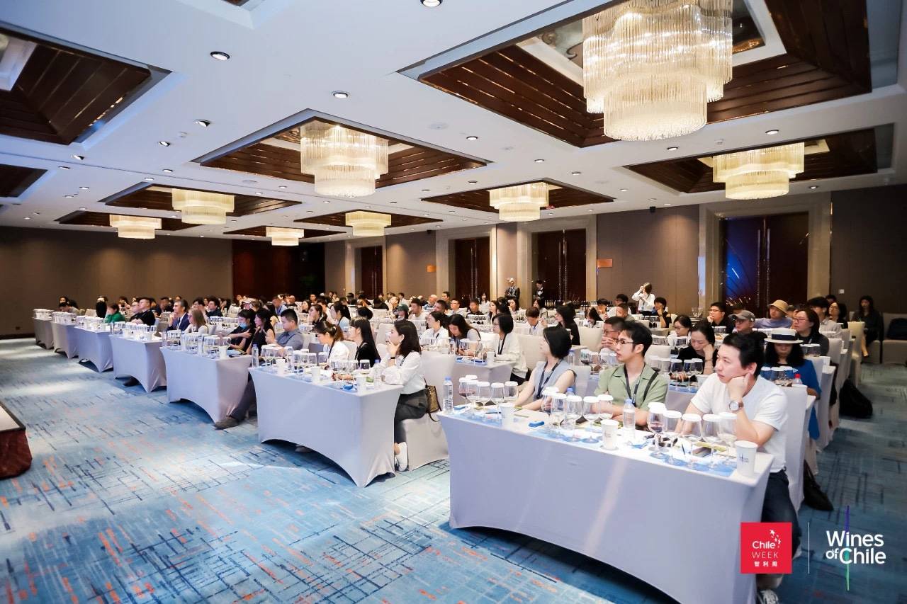 星空美酒闪耀智利！ 2023年智利葡萄酒路演(图1)