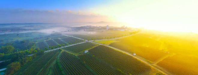 蓬莱产区参加ProWine 上海2023 持续放大海岸葡萄酒的声音(图3)