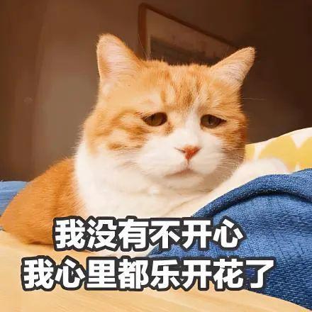 葡萄酒人2023年精神状态一览(图2)
