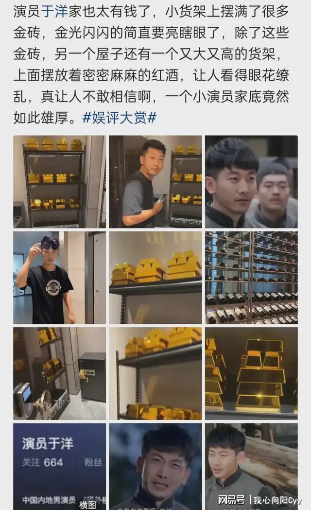 演员于洋炫耀有亿元豪宅满墙金砖与红酒引网友质疑(图1)