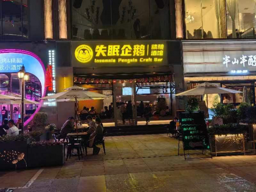 失眠企鹅受邀出席2023首届中国精酿啤酒产业峰会 荣获“中国精酿啤酒新锐品牌奖”(图3)