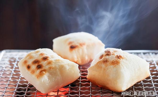 春节期间猫主子的饮食需谨慎！(图4)