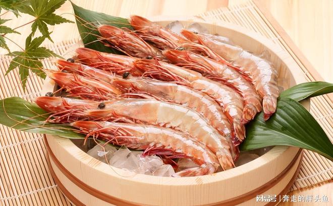 春节期间猫主子的饮食需谨慎！(图3)