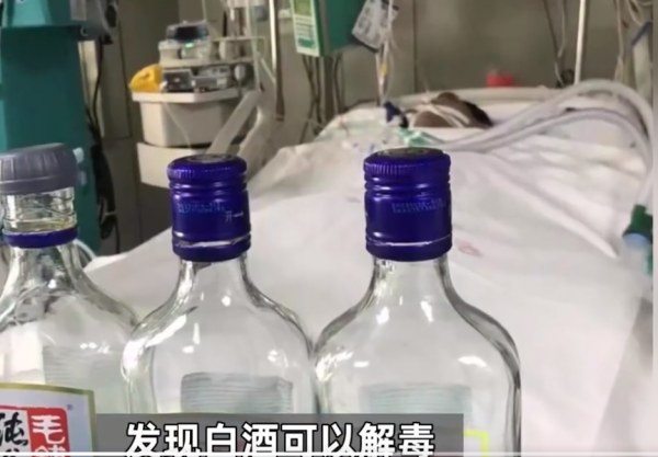 紧急提醒！死亡率接近100%(图1)