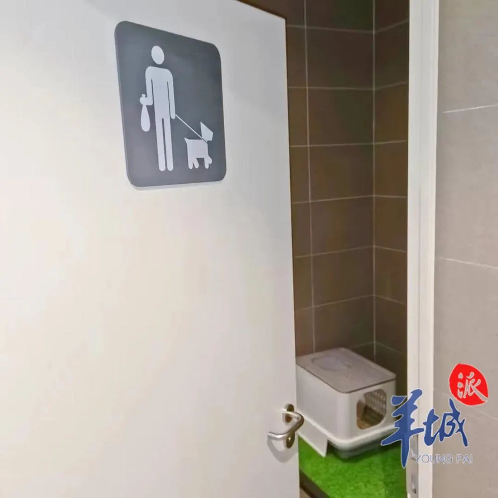 最全最细！民航、铁路春运出行攻略！(图5)