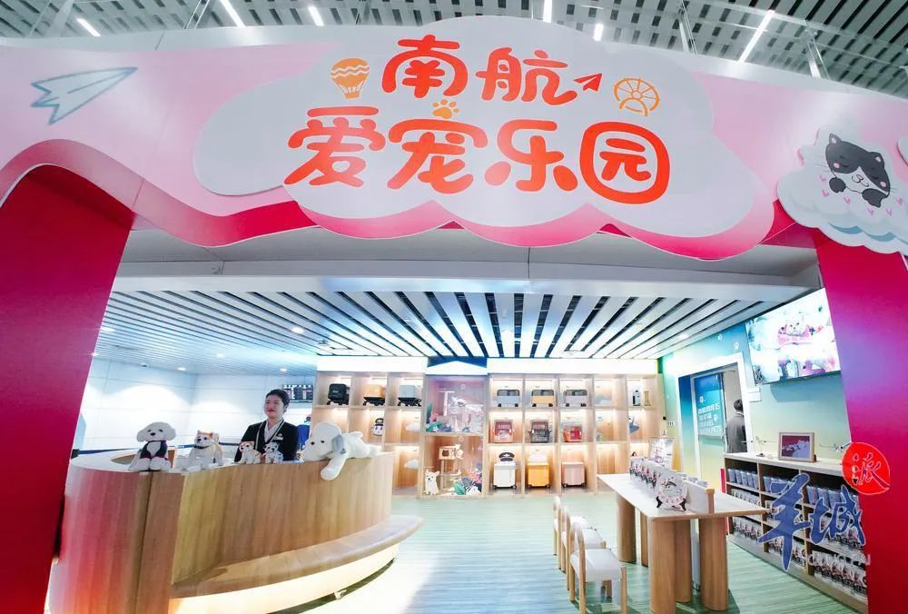 最全最细！民航、铁路春运出行攻略！(图3)