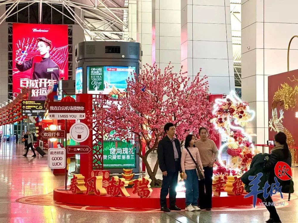 最全最细！民航、铁路春运出行攻略！(图2)