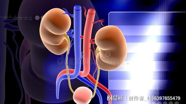 晚上不应该喝水？泌尿科医生告诉你晚间饮水的正确方式！(图3)