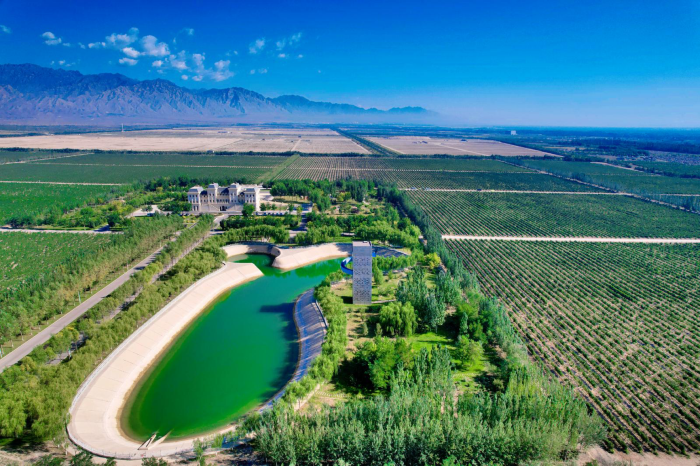 胡润百富TOP10酒庄美贺庄园以艺术之名分享贺兰山东麓葡萄酒独特魅力！(图11)