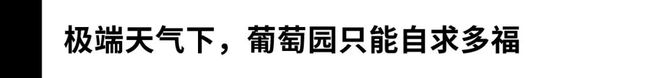 礼貌建议各位参加完春糖反思自己的营销理念——深究葡萄酒市场‘大盘’趋势(图12)