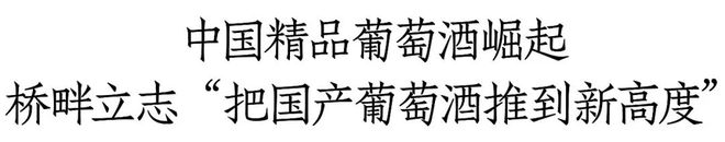 “把国产葡萄酒推向新高度”从桥畔看见中国葡萄酒之光(图9)