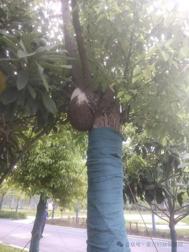 五一假期发生在泰兴某医院的一幕……(图1)