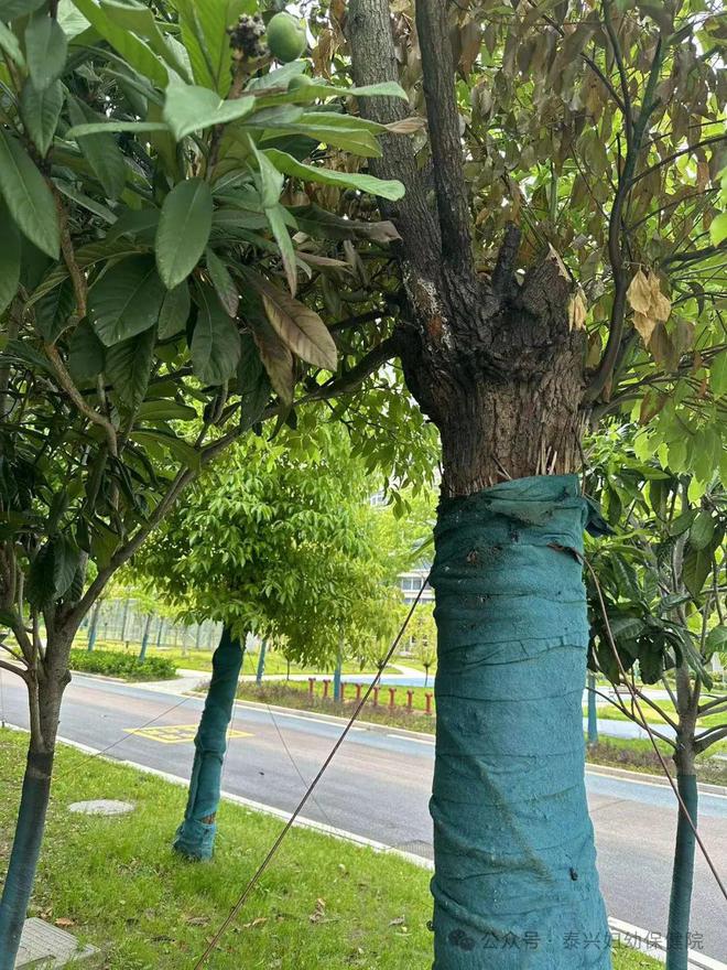 五一假期发生在泰兴某医院的一幕……(图3)
