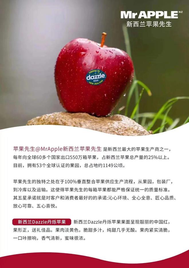 名师+酒单都是顶配！又是被新西兰葡萄酒“硬控”的一周(图6)