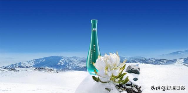 天山峰顶·雪中有莲丨蓝鳍金枪鱼搭配雪莲养生葡萄酒你绝不能错过的舌尖盛宴(图3)