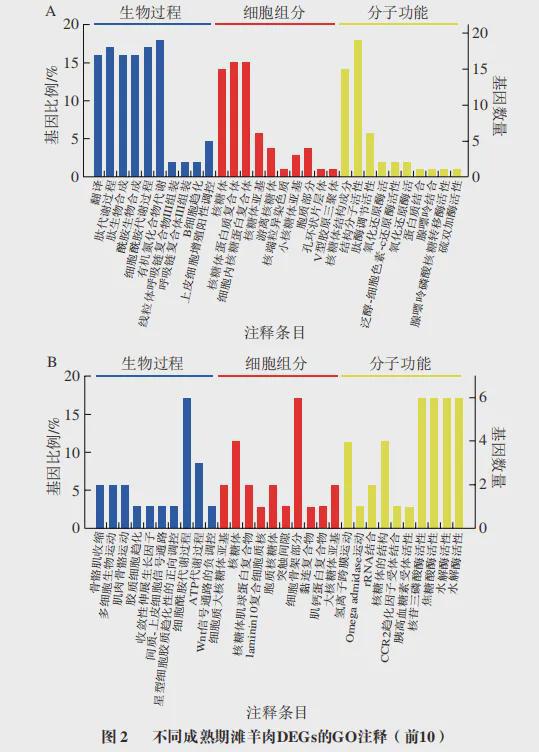 《食品科学》：宁夏大学食品与葡萄酒学院罗瑞明教授等：冷却滩羊肉的转录组学分析(图3)