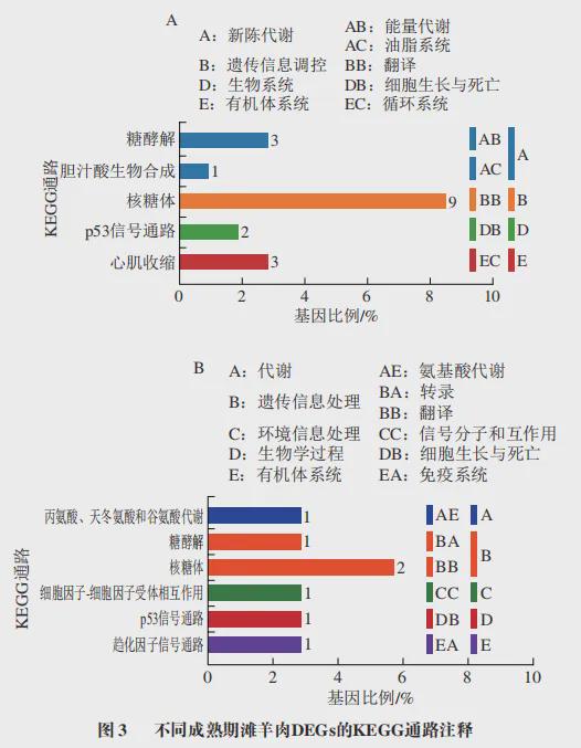 《食品科学》：宁夏大学食品与葡萄酒学院罗瑞明教授等：冷却滩羊肉的转录组学分析(图4)
