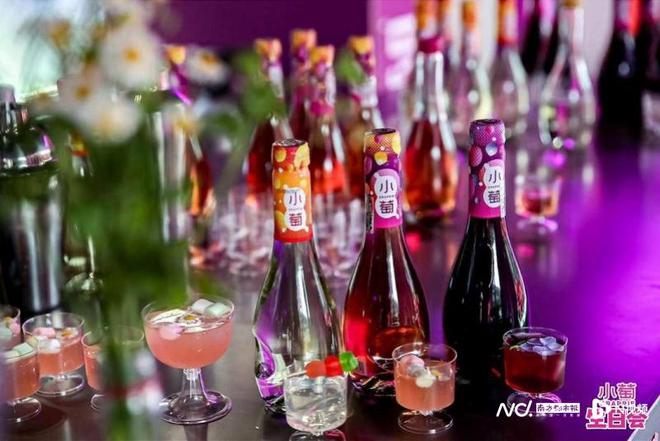 多家葡萄酒企业上半年亏损！高端和年轻化哪个是突围“良方”(图3)