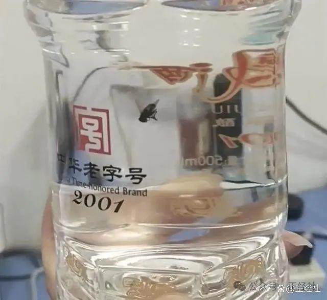 酒食行业2023十大消费事件丨正经社(图1)