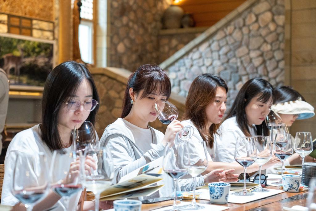 “畅饮一夏” 宁夏葡萄酒旅游方兴未艾(图1)