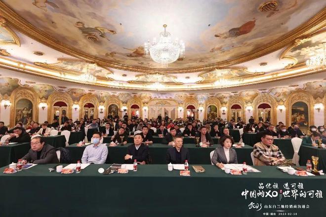 可雅白兰地：逆风飞扬的2023！(图6)