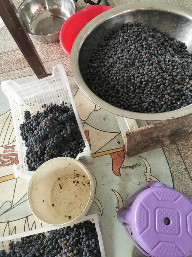 一定当心！女子自制葡萄酒毒倒老公老公：就喝了一口(图6)