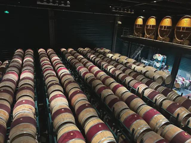【宁夏走访观察】电商助力宁夏葡萄酒、盐池滩羊实现高质量发展(图2)