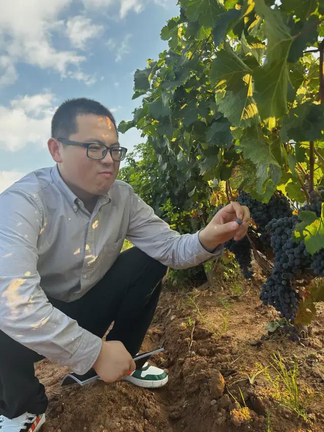 【宁夏走访观察】电商助力宁夏葡萄酒、盐池滩羊实现高质量发展(图3)